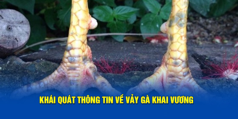 Khái quát thông tin về vảy gà khai vương